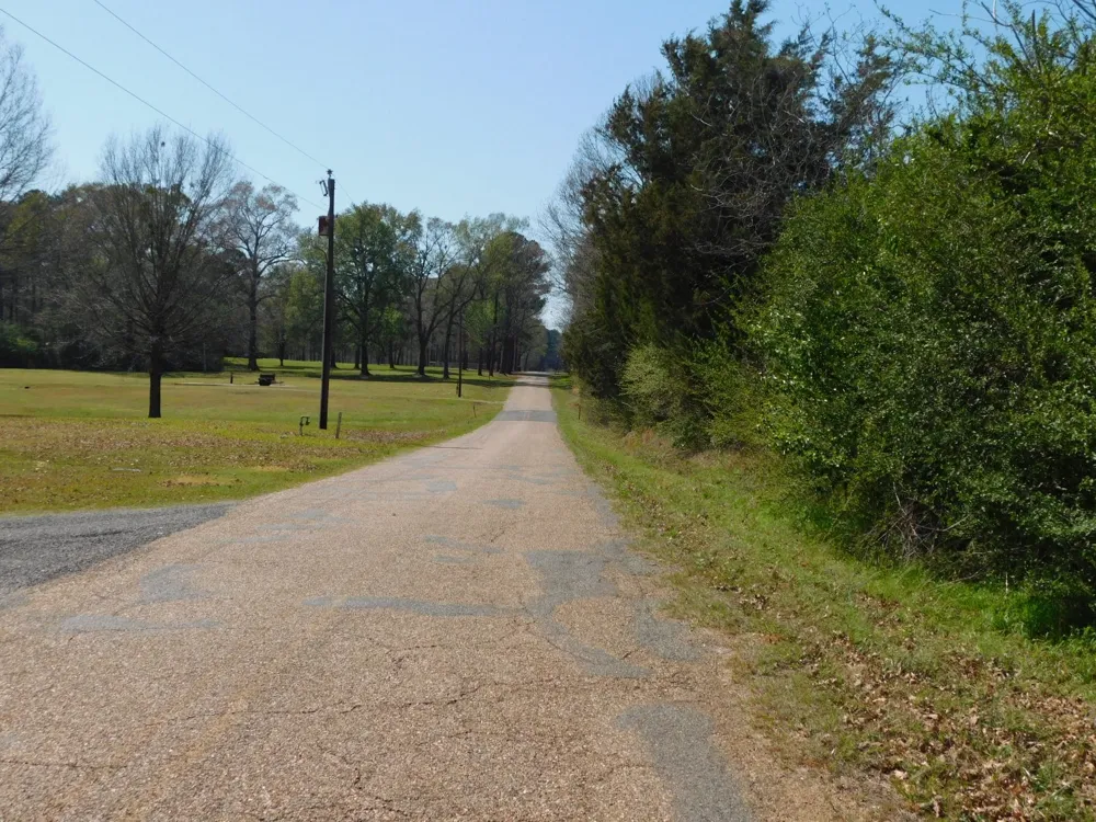 Cox Road Sarepta, LA 71071