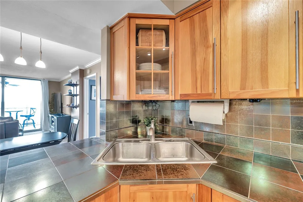 2333 FEATHER SOUND DRIVE #B307 Clearwater, FL 33762