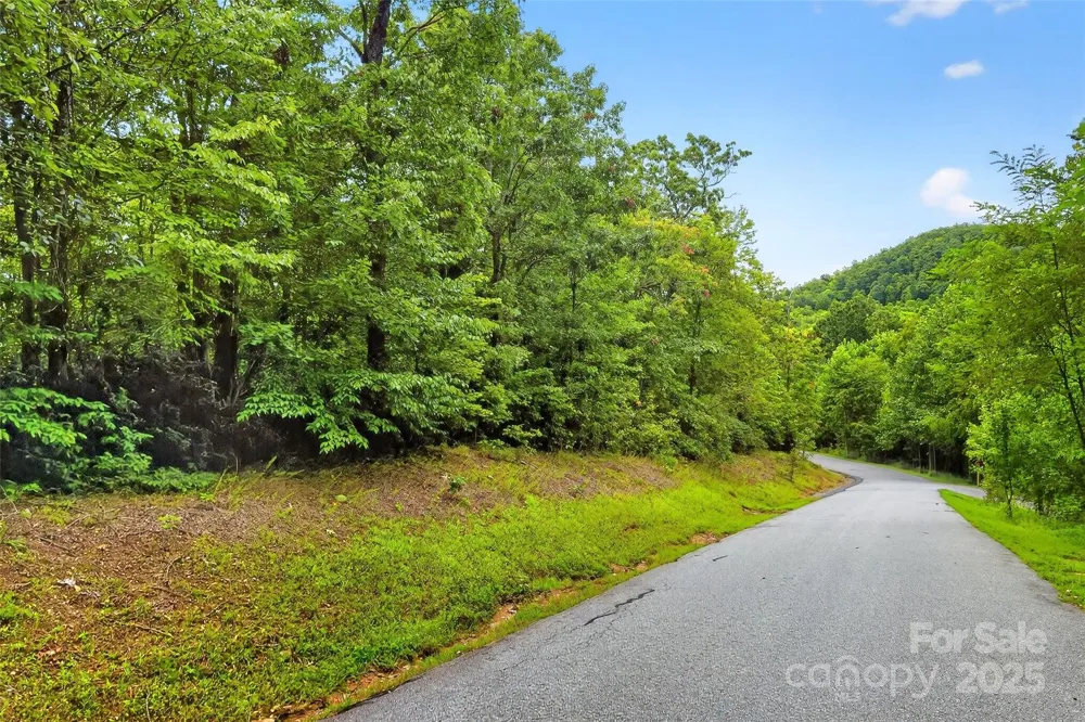 1696 Catawba Falls Parkway #190 Black Mountain, NC 28711