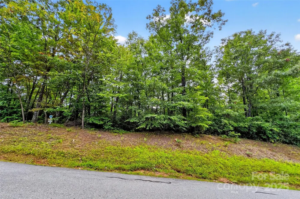 1696 Catawba Falls Parkway #190 Black Mountain, NC 28711