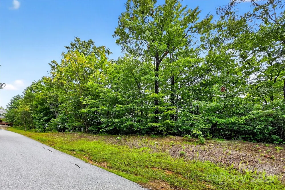1696 Catawba Falls Parkway #190 Black Mountain, NC 28711