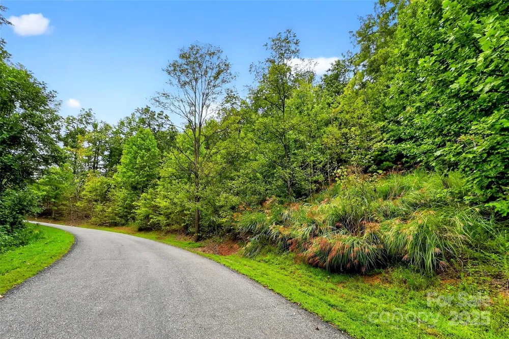 1696 Catawba Falls Parkway #190 Black Mountain, NC 28711