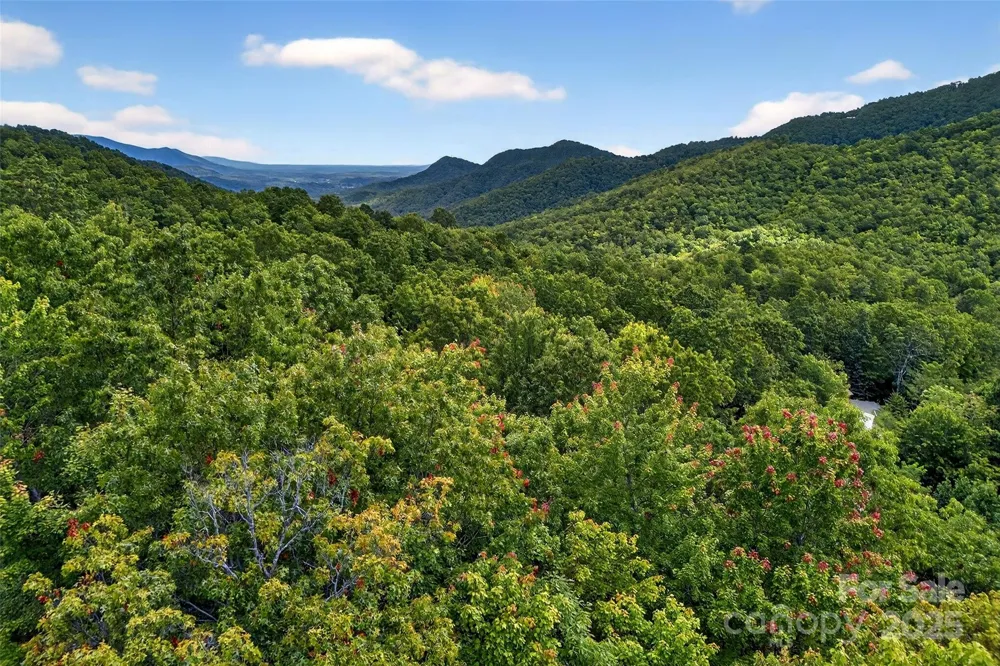 1696 Catawba Falls Parkway #190 Black Mountain, NC 28711