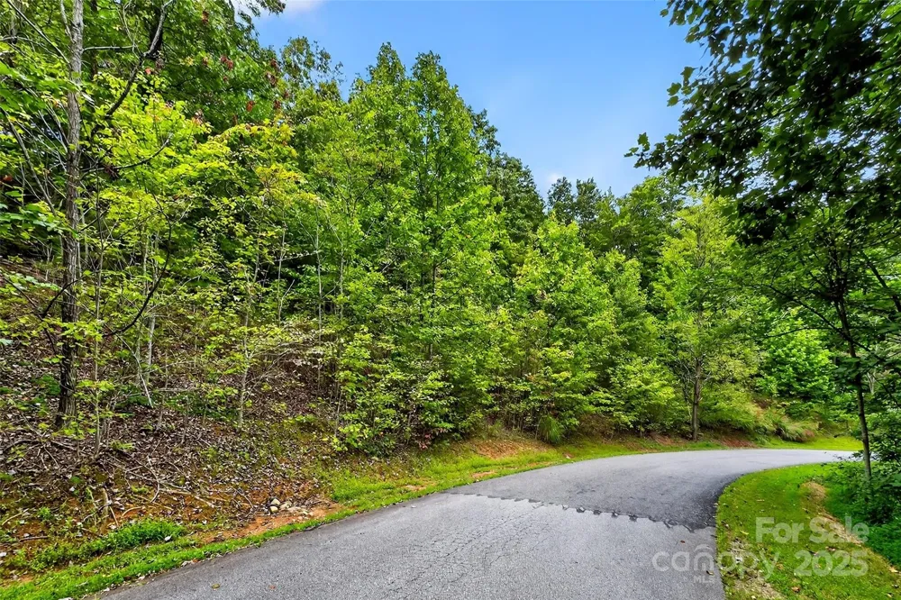 1696 Catawba Falls Parkway #190 Black Mountain, NC 28711
