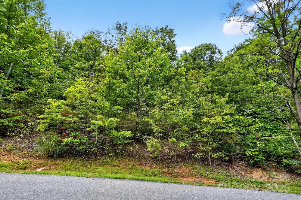 1696 Catawba Falls Parkway #190 Black Mountain, NC 28711