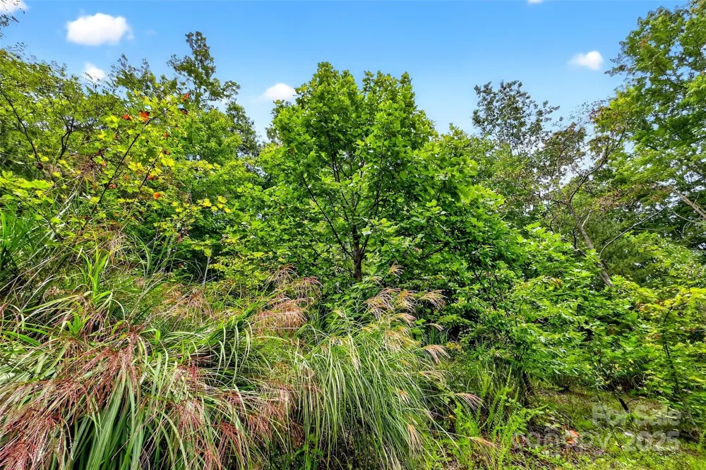 1696 Catawba Falls Parkway #190 Black Mountain, NC 28711