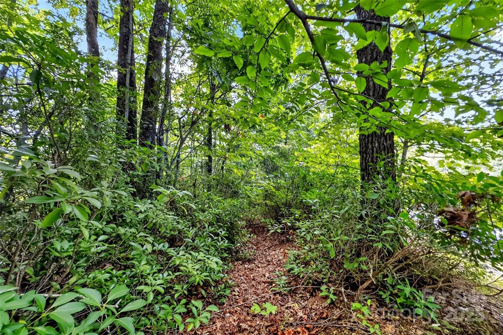 1696 Catawba Falls Parkway #190 Black Mountain, NC 28711