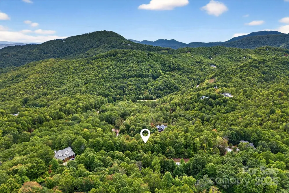 1696 Catawba Falls Parkway #190 Black Mountain, NC 28711