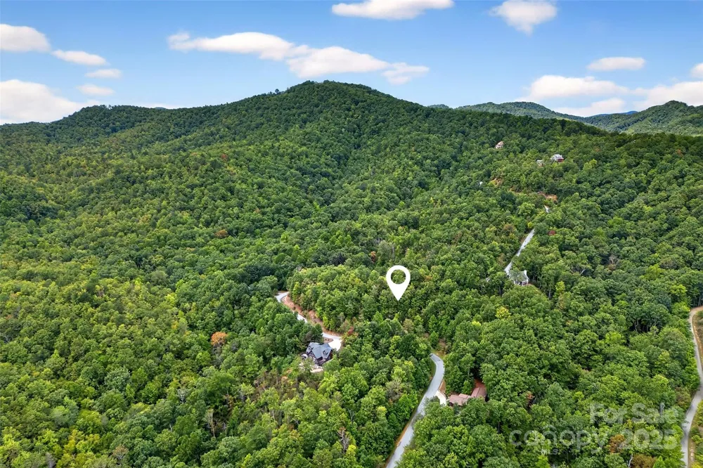 1696 Catawba Falls Parkway #190 Black Mountain, NC 28711