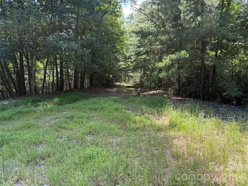 TBD Hickory Hollow Road #102 & 103 Purlear, NC 28665