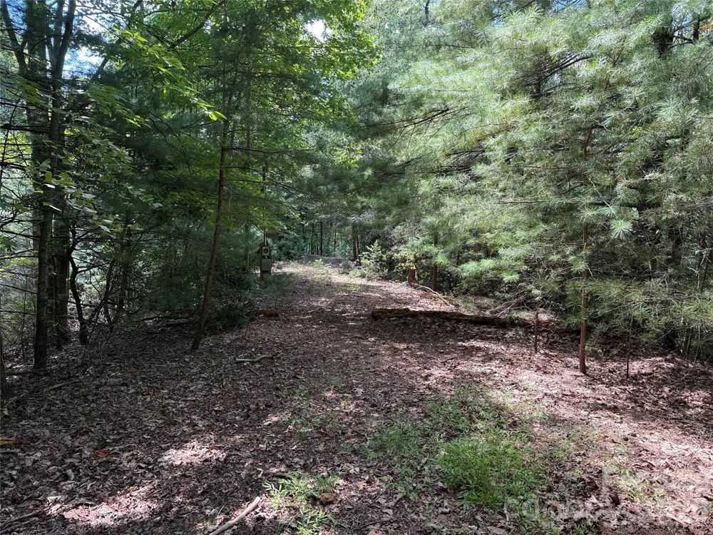TBD Hickory Hollow Road #102 & 103 Purlear, NC 28665