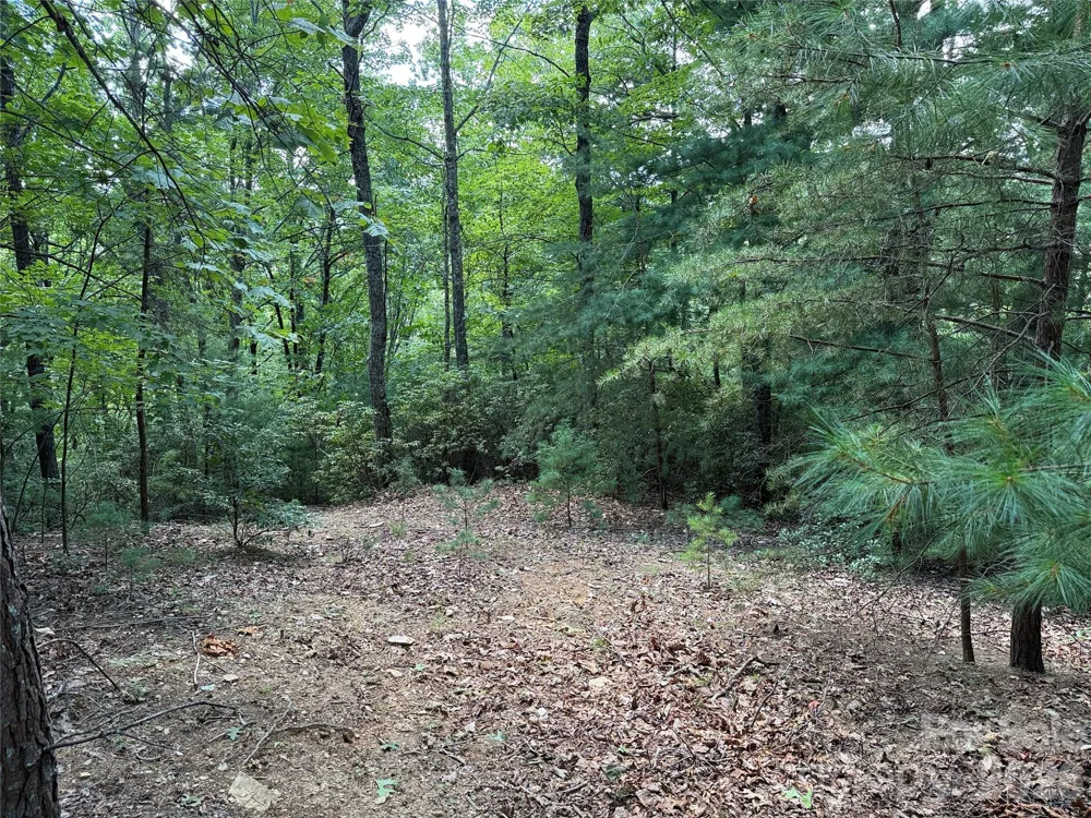 TBD Hickory Hollow Road #102 & 103 Purlear, NC 28665