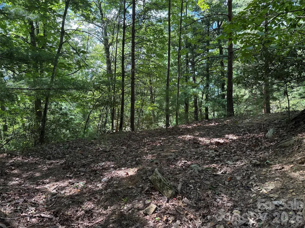 TBD Hickory Hollow Road #102 & 103 Purlear, NC 28665