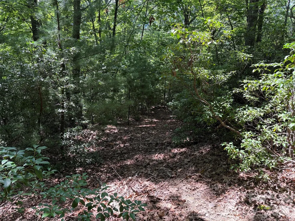 TBD Hickory Hollow Road #102 & 103 Purlear, NC 28665