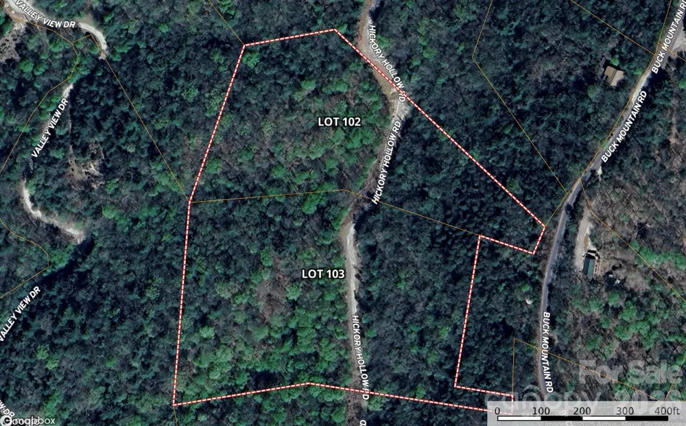 TBD Hickory Hollow Road #102 & 103 Purlear, NC 28665