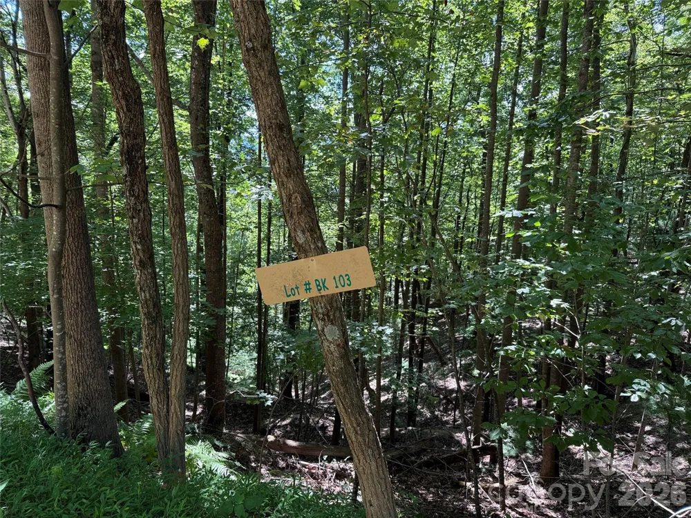 TBD Hickory Hollow Road #102 & 103 Purlear, NC 28665