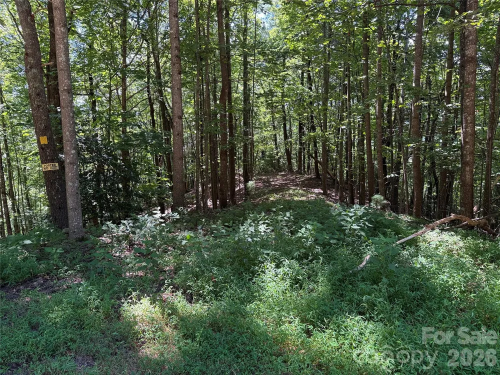 TBD Hickory Hollow Road #102 & 103 Purlear, NC 28665