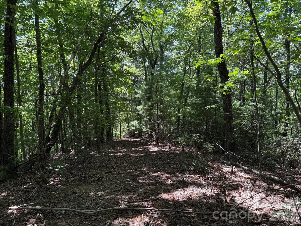 TBD Hickory Hollow Road #102 & 103 Purlear, NC 28665