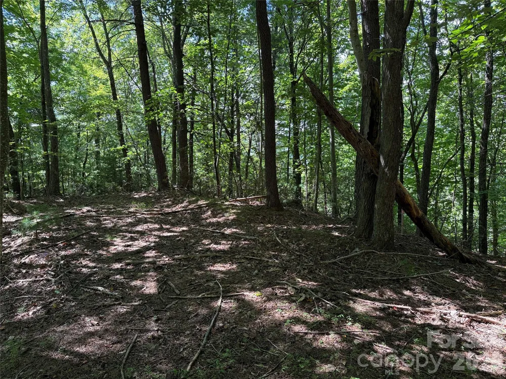 TBD Hickory Hollow Road #102 & 103 Purlear, NC 28665
