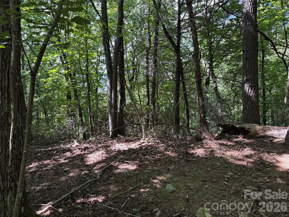 TBD Hickory Hollow Road #102 & 103 Purlear, NC 28665