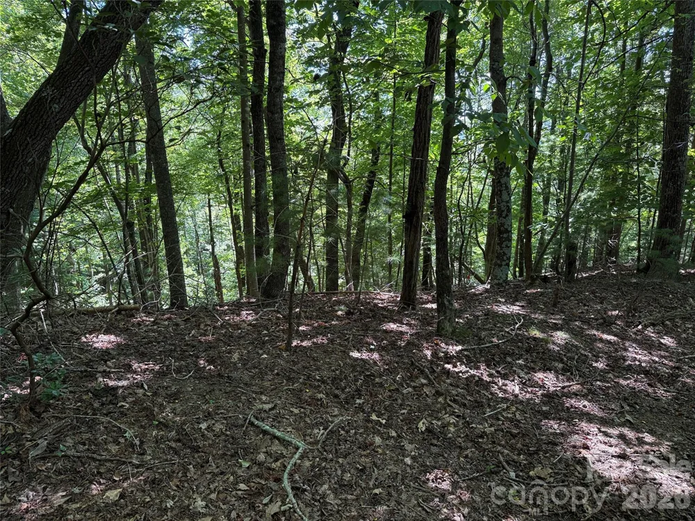 TBD Hickory Hollow Road #102 & 103 Purlear, NC 28665