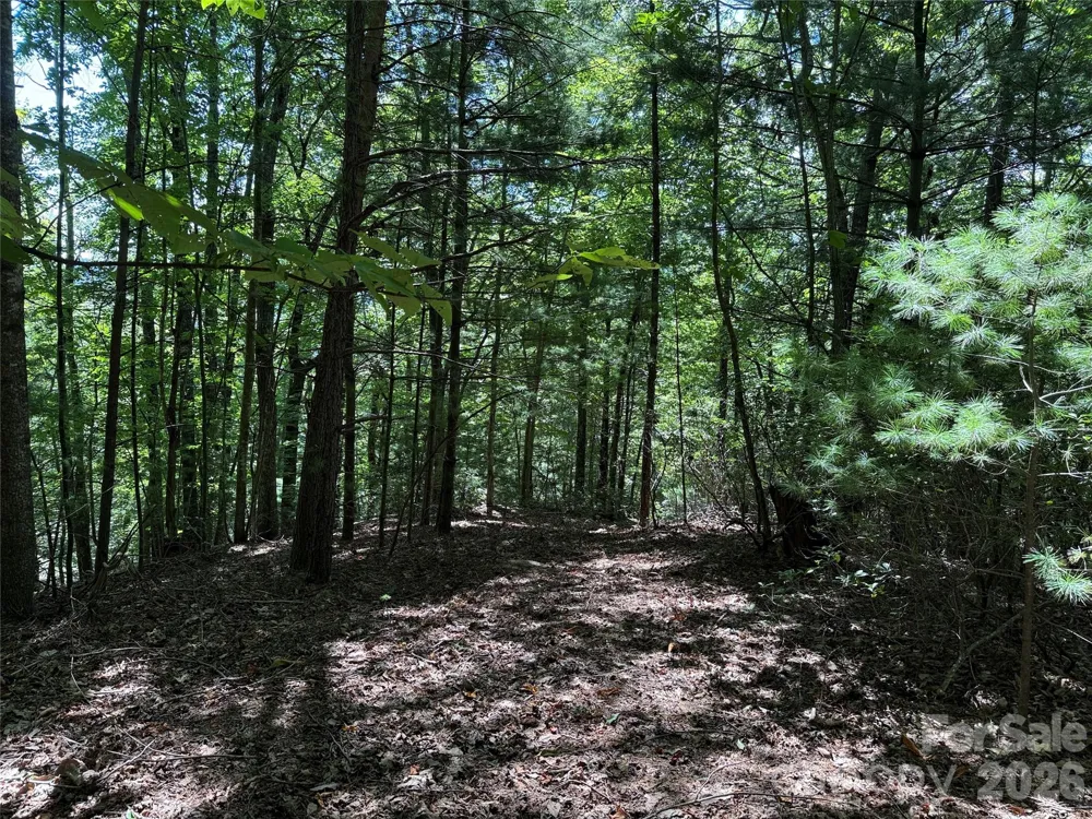 TBD Hickory Hollow Road #102 & 103 Purlear, NC 28665