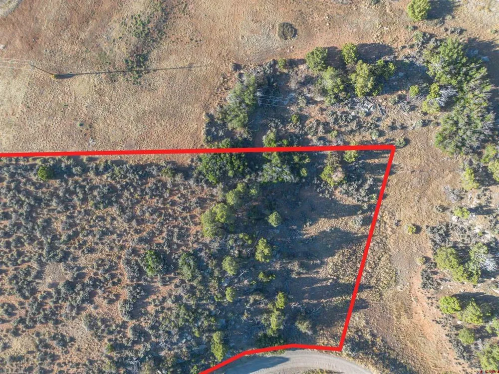 25641 Road U.8 Road Dolores, CO 81323
