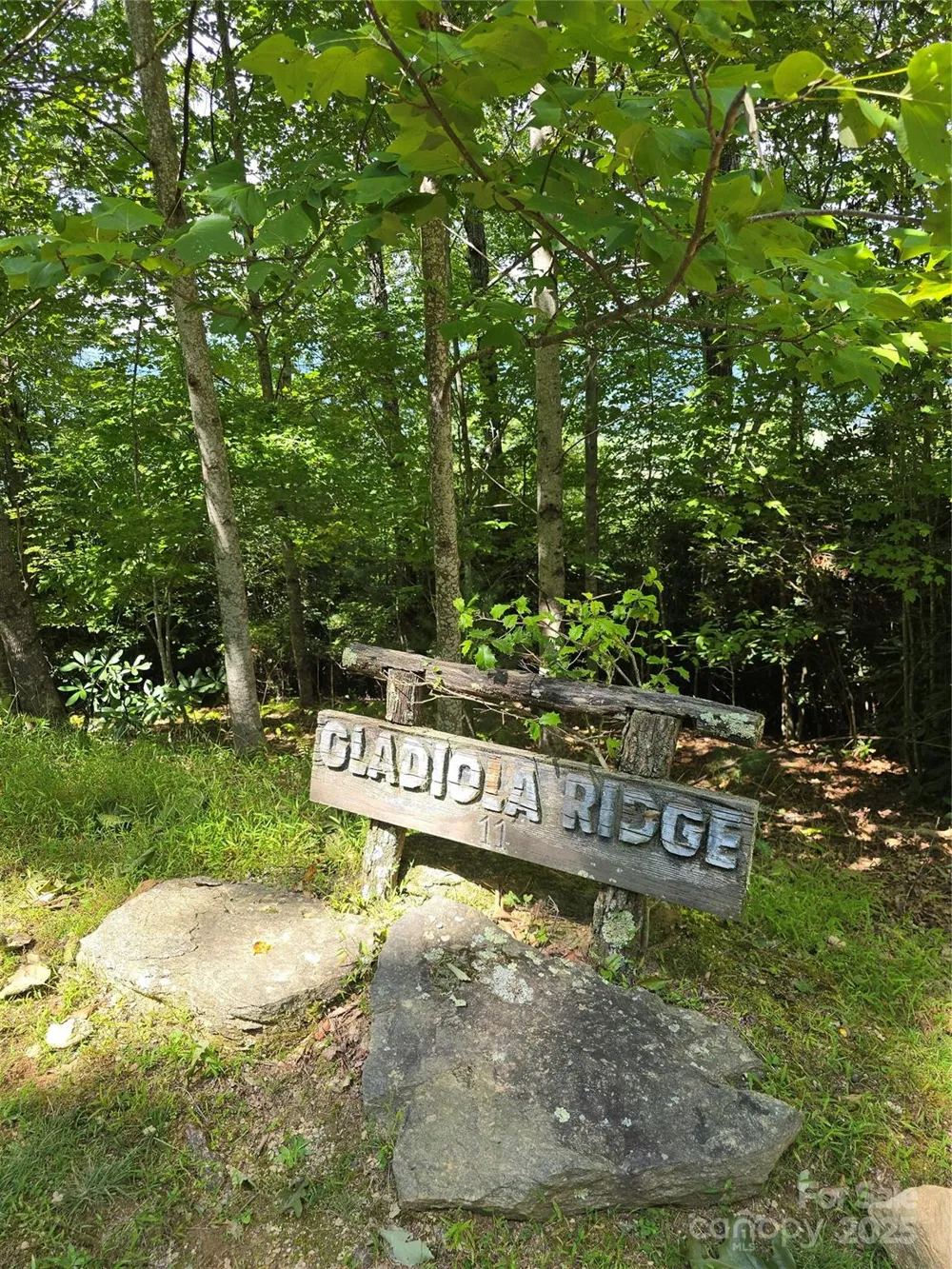 11 Reserve Road Pisgah Forest, NC 28768