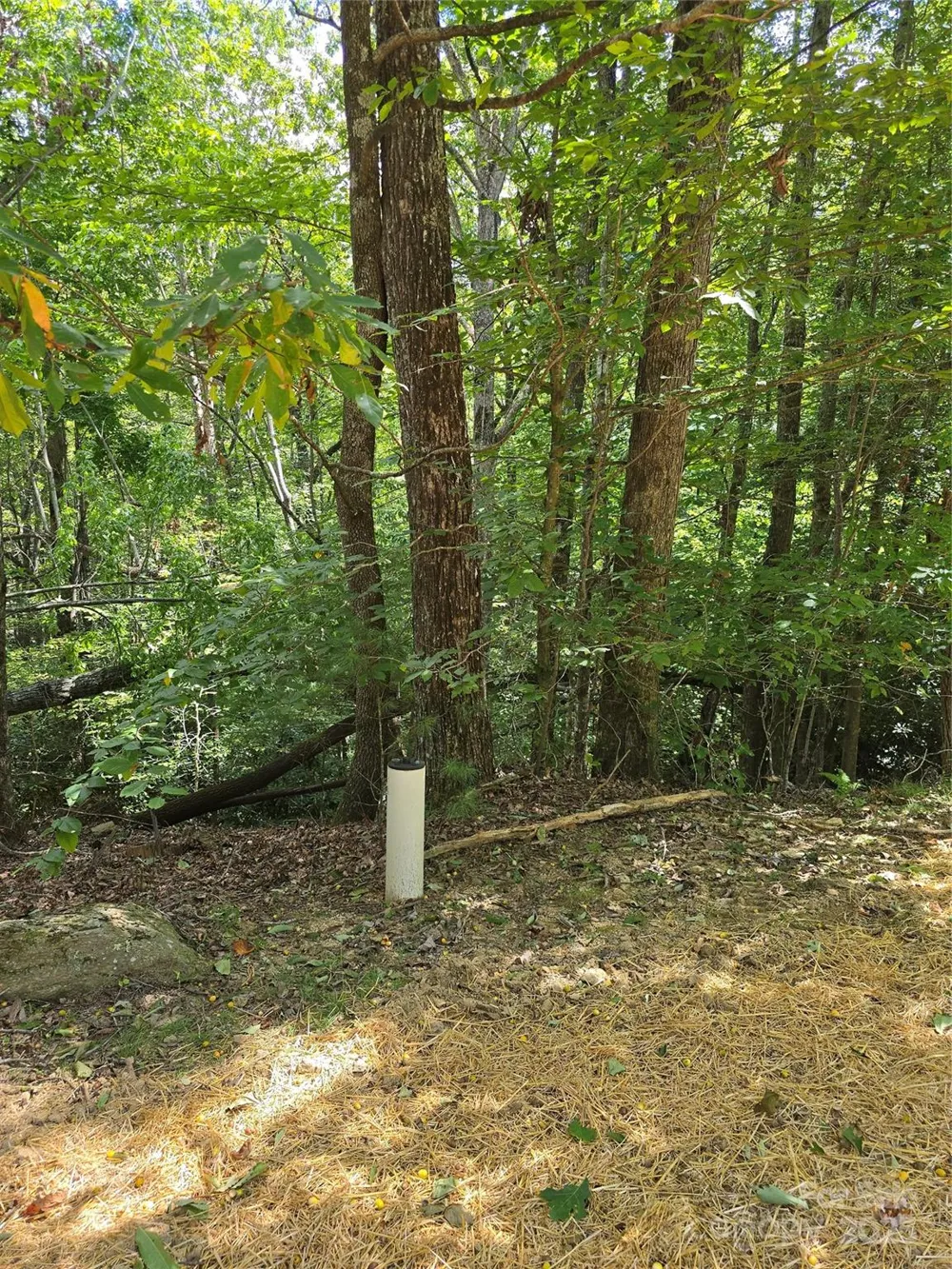 11 Reserve Road Pisgah Forest, NC 28768