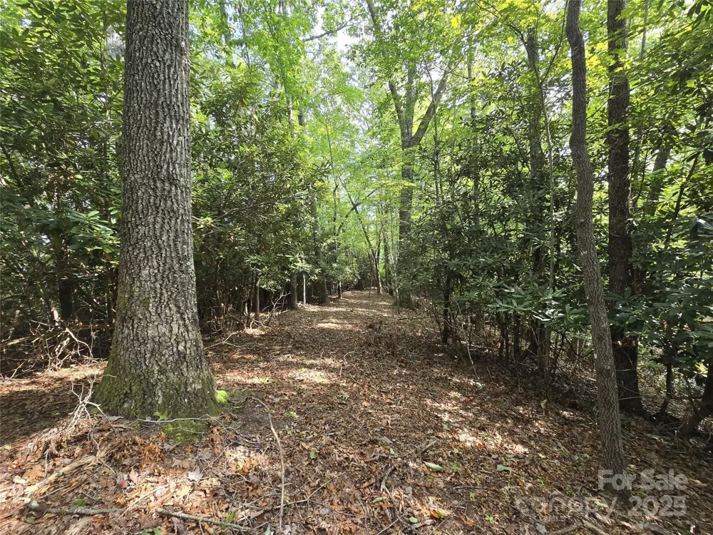 11 Reserve Road Pisgah Forest, NC 28768