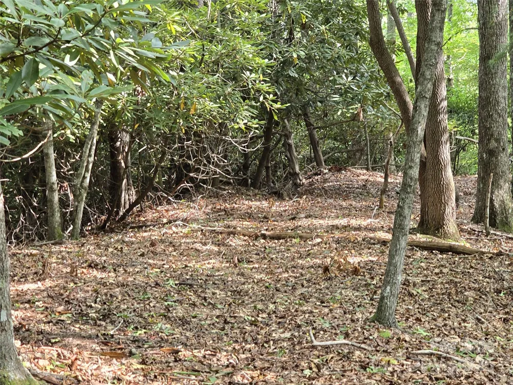 11 Reserve Road Pisgah Forest, NC 28768