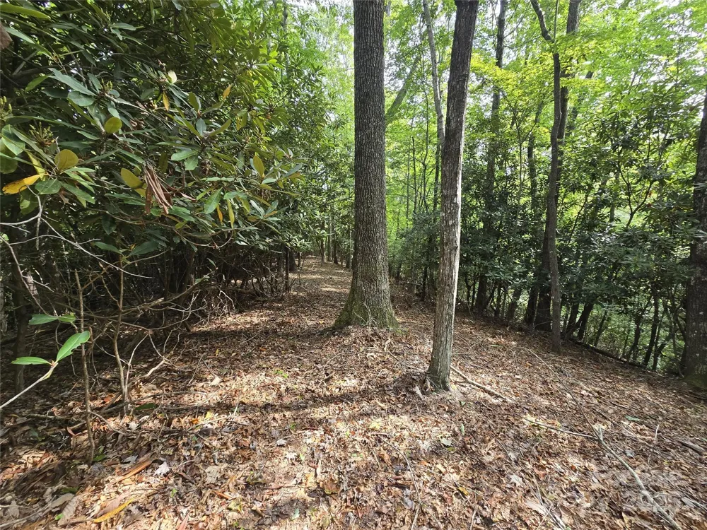 11 Reserve Road Pisgah Forest, NC 28768