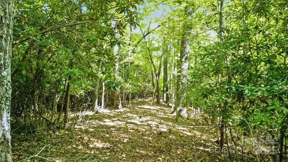 11 Reserve Road Pisgah Forest, NC 28768