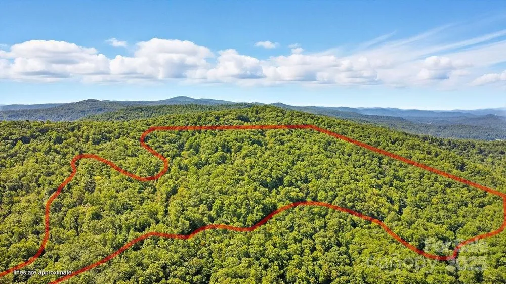 11 Reserve Road Pisgah Forest, NC 28768