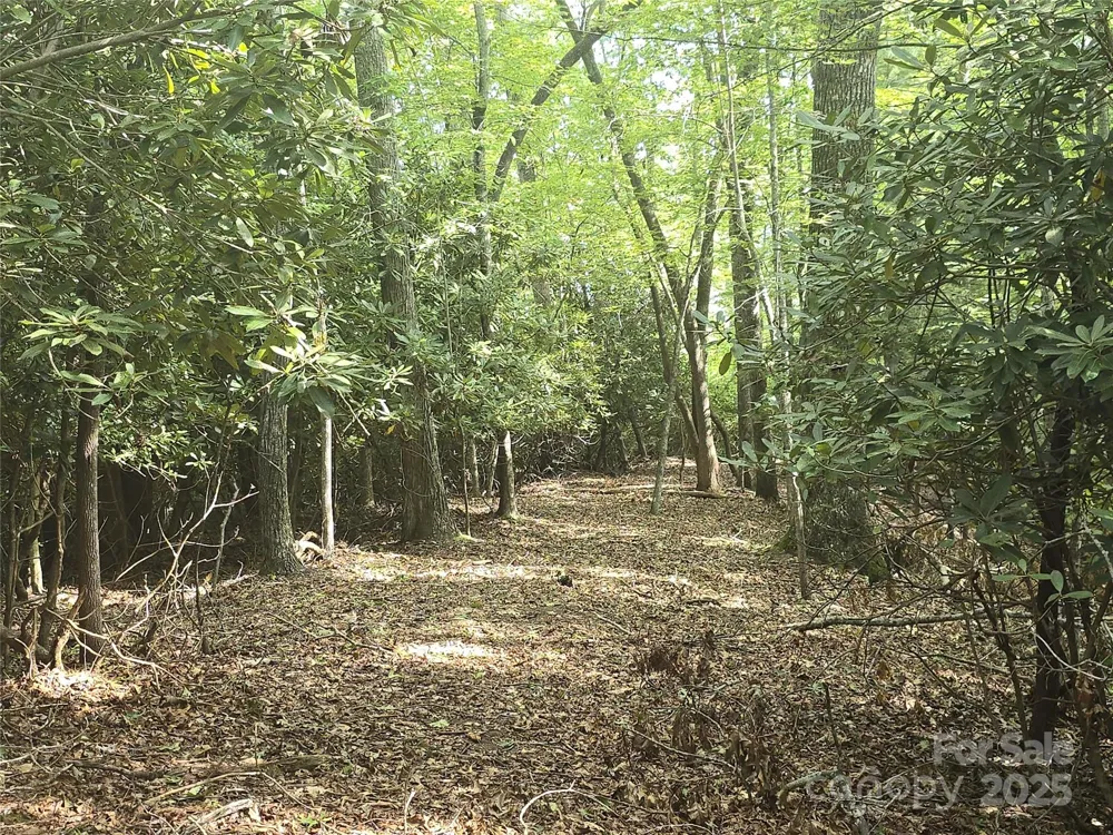 11 Reserve Road Pisgah Forest, NC 28768