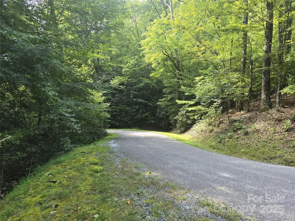 11 Reserve Road Pisgah Forest, NC 28768