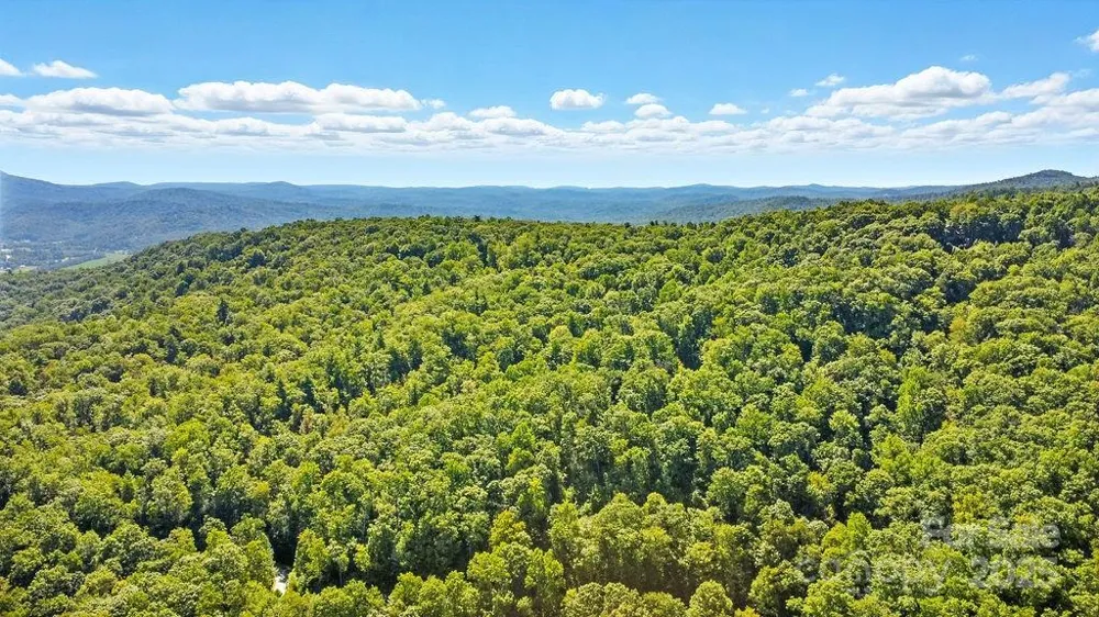 11 Reserve Road Pisgah Forest, NC 28768