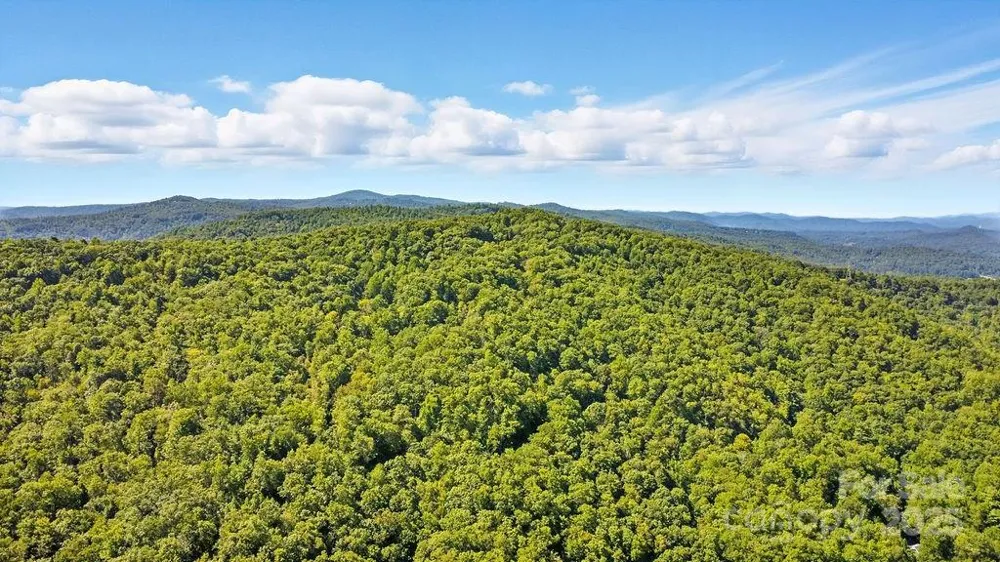 11 Reserve Road Pisgah Forest, NC 28768