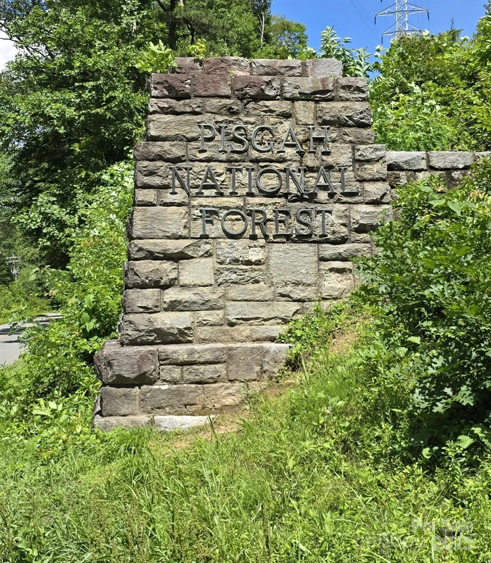 11 Reserve Road Pisgah Forest, NC 28768