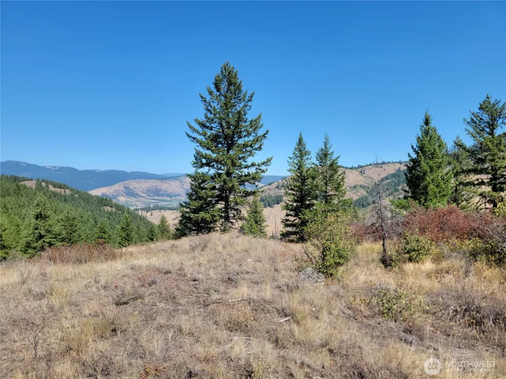9999 Lone Ranch Rd Danville, WA 99121