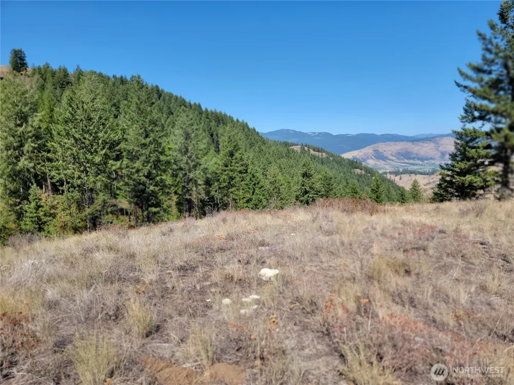 9999 Lone Ranch Rd Danville, WA 99121