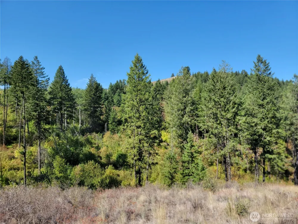 9999 Lone Ranch Rd Danville, WA 99121