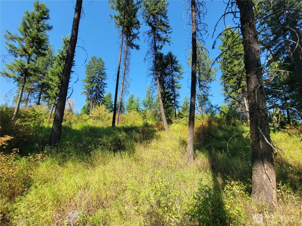 9999 Lone Ranch Rd Danville, WA 99121