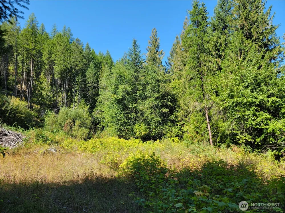 9999 Lone Ranch Rd Danville, WA 99121