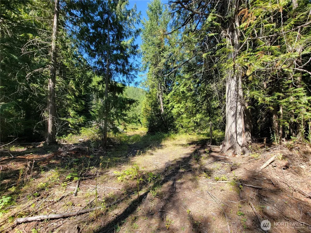 9999 Lone Ranch Rd Danville, WA 99121