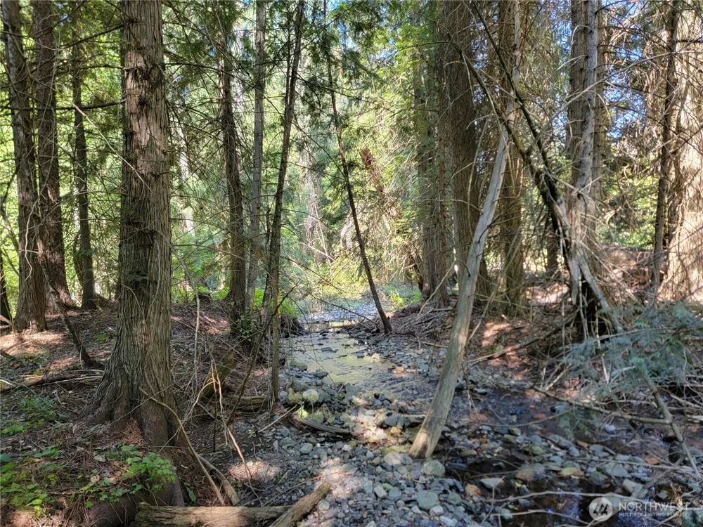 9999 Lone Ranch Rd Danville, WA 99121