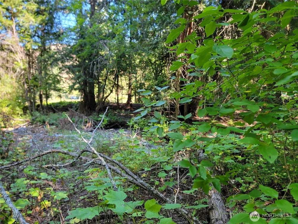 9999 Lone Ranch Rd Danville, WA 99121
