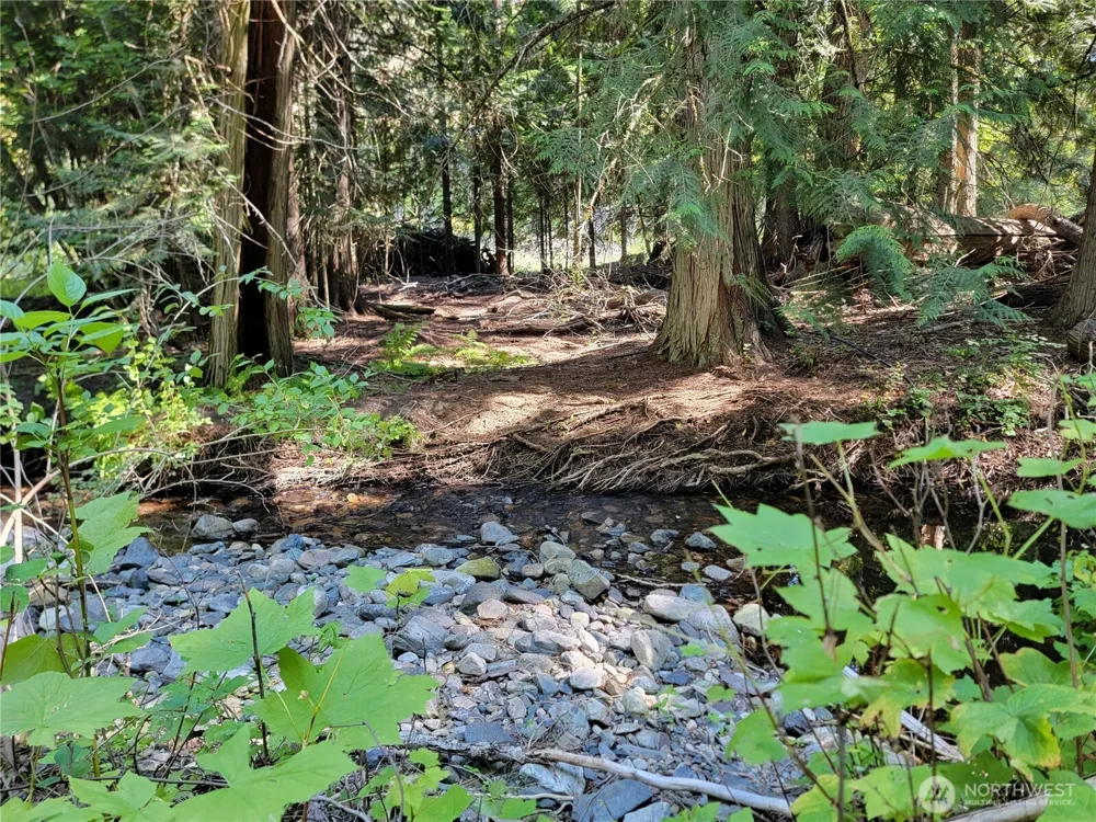 9999 Lone Ranch Rd Danville, WA 99121