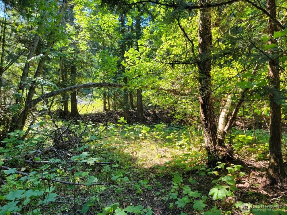 9999 Lone Ranch Rd Danville, WA 99121