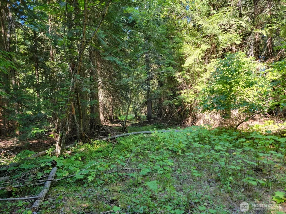 9999 Lone Ranch Rd Danville, WA 99121